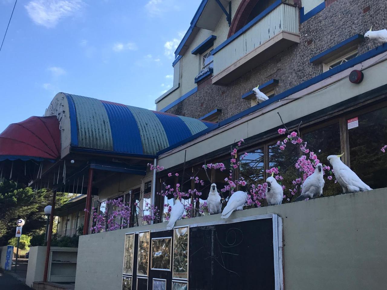 The Clarendon Motel Katoomba Ngoại thất bức ảnh
